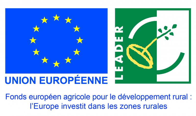 logo DETR union européenne